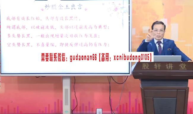 林新象金玉良言炒股视频 25集