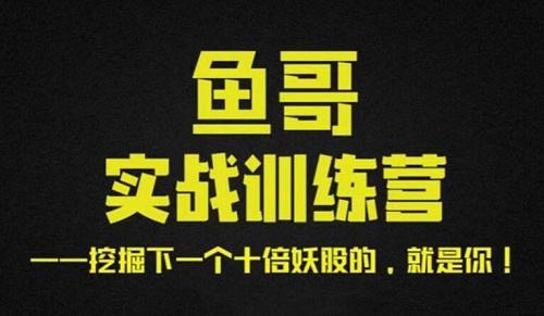 鱼哥 鱼哥实战超短训练营视频+讲义视频课程